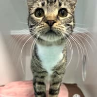 Photo of Missy