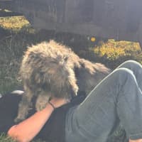Photo of Mason