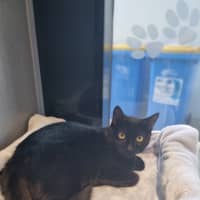 Photo of Mavis