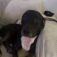 Photo of Roxy