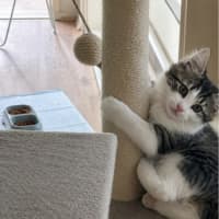 Photo of Maxi