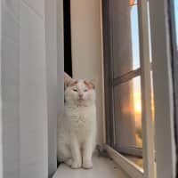 Photo of Kira