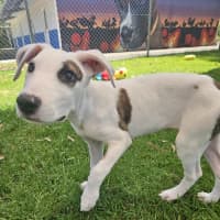 Photo of Victoria 