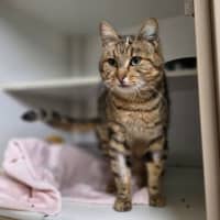 Photo of Wanda
