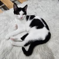 Photo of Mina