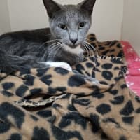 Photo of Ozias