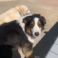 Photo of Remy