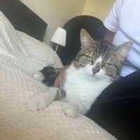 Photo of Lenny