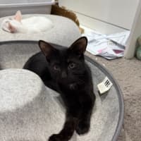 Photo of Bruce
