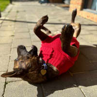 Photo of Cocobella