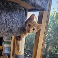 Photo of Harry Meet Me@Petstock Carrum Downs Store