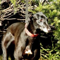 Photo of Heidi