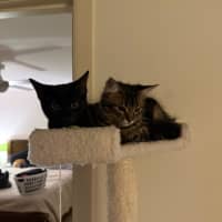 Photo of Eve & Coalette