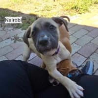 Photo of ⛰️ Coromandel's Litter (Part 2) ⛰️