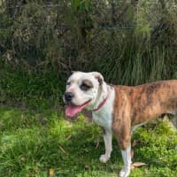 Photo of Jada