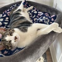 Photo of Jerry Freckle