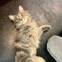 Photo of Masha