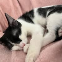 Photo of Selina