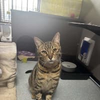 Photo of Manny