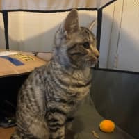 Photo of Enid