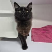 Photo of Tufts 