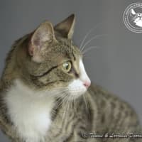 Photo of Dolly Parton