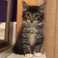 Photo of Timmy