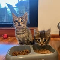 Photo of Betty Lou Who