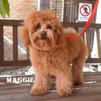 Photo of Maggie