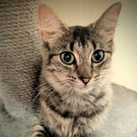 Photo of Miiko