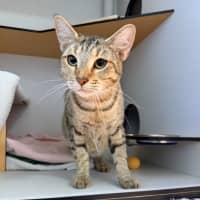 Photo of Spice