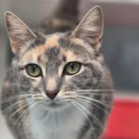 Photo of Dottie