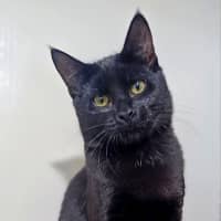 Photo of Edith