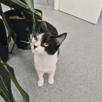 Photo of Nova! ☯