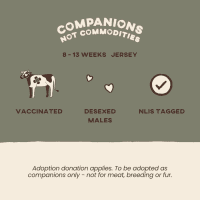 Photo of Bowen & Albert