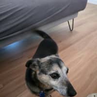 Photo of Barney Lozano