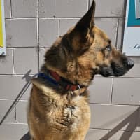 Photo of Ralph