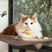 Photo of Cedric