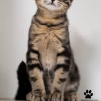 Photo of Tom