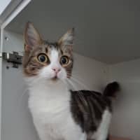 Photo of Sophia