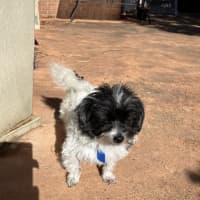 Photo of Missy And May