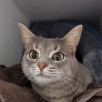 Photo of Tia