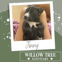 Photo of Jinny
