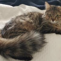 Photo of Willa