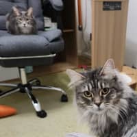 Photo of Charlotte & Scarlett 🌷🌷