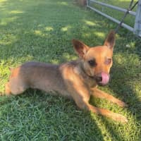 Photo of Tiny