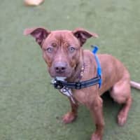 Photo of Roxy