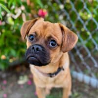 Photo of Jughead   Super Shy Boy