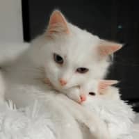 Photo of Hope