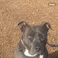 Photo of Estée Lauder